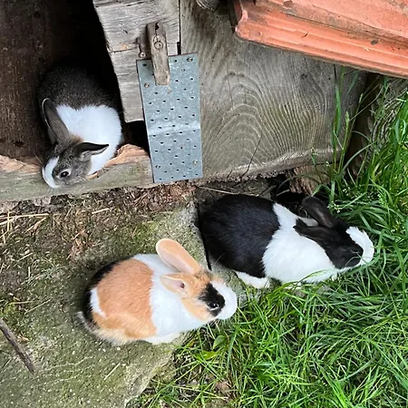 아파트 Auf Bauernhof Mit Hotpot Und Sauna Sumiswald