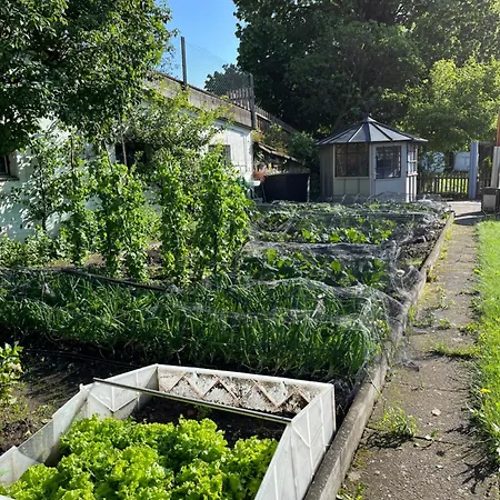 Auf Bauernhof Mit Hotpot Und Sauna Apartamento *