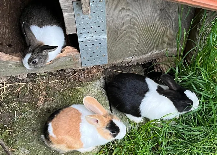 아파트 Auf Bauernhof Mit Hotpot Und Sauna Sumiswald