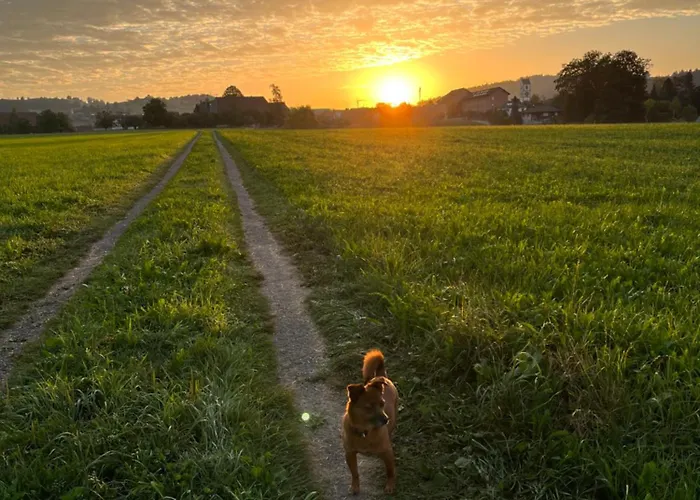 아파트 Auf Bauernhof Mit Hotpot Und Sauna Sumiswald