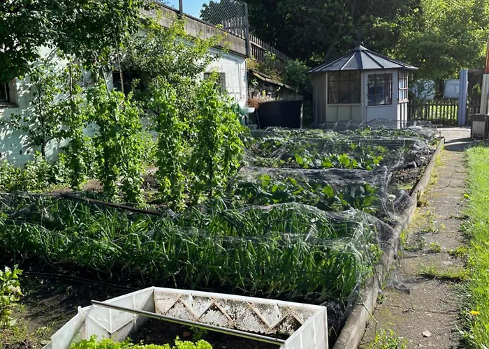 Auf Bauernhof Mit Hotpot Und Sauna 아파트 *