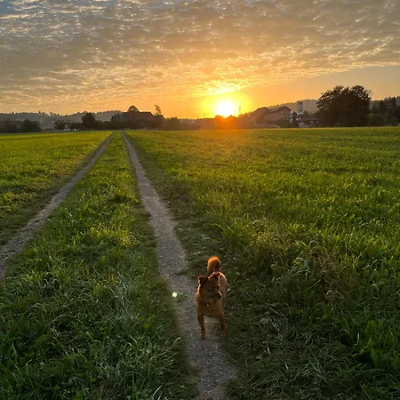 Apartman Auf Bauernhof Mit Hotpot Und Sauna Sumiswald